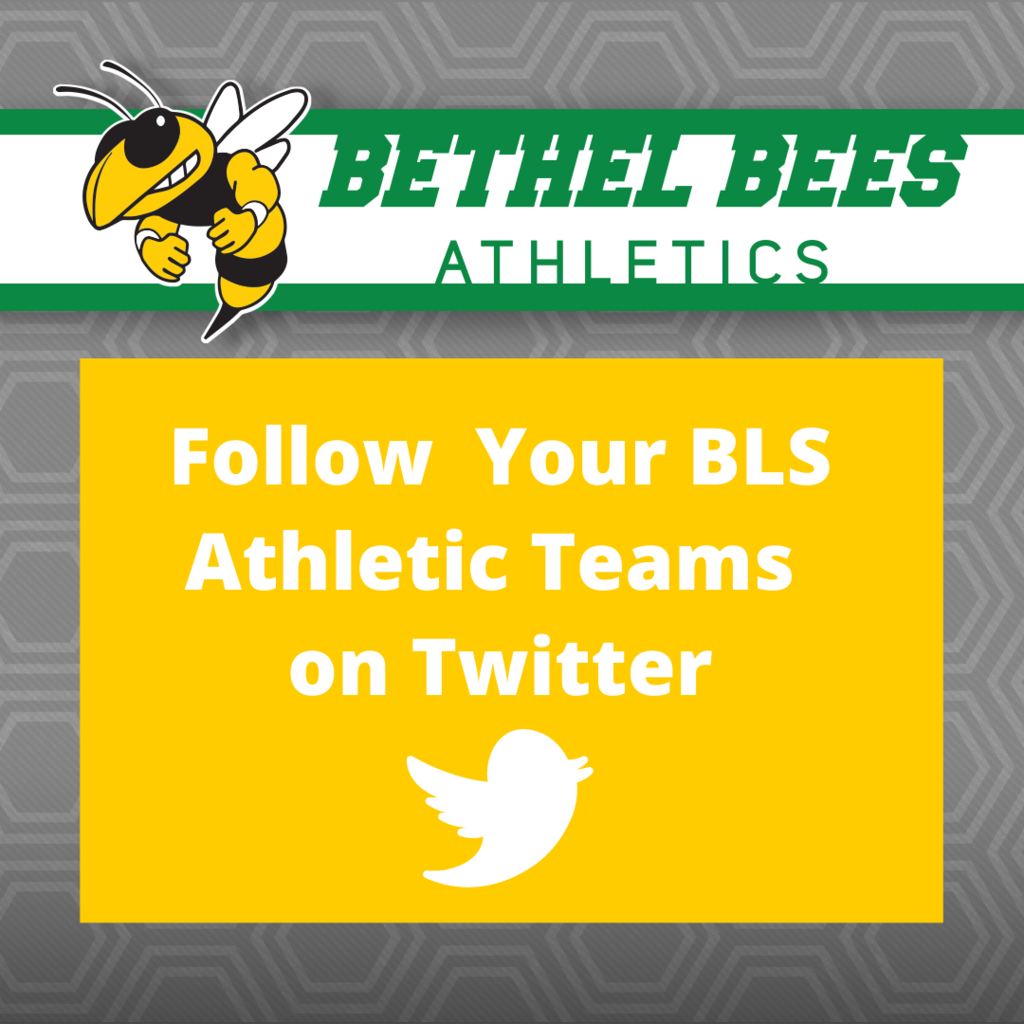bees sports