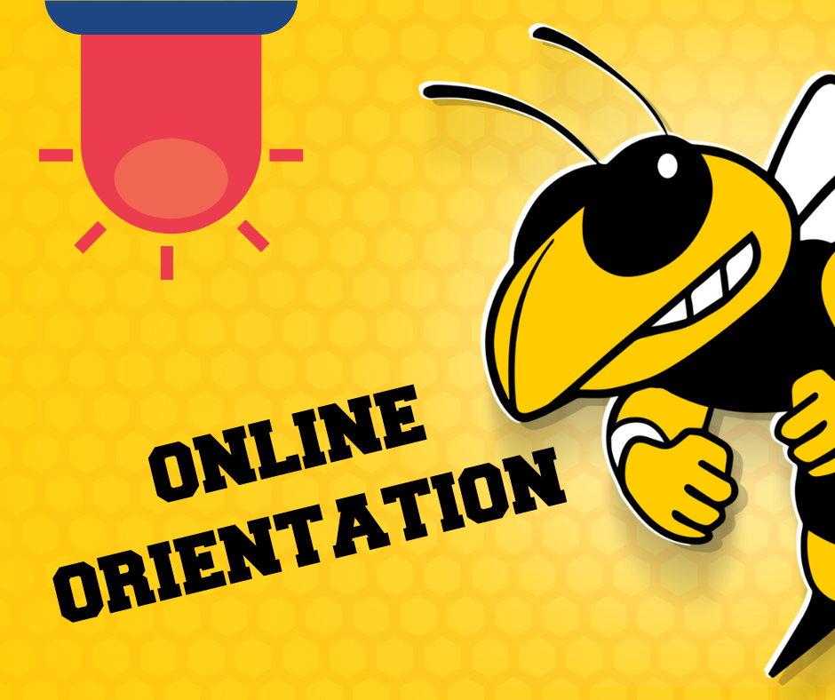 Online orientation 